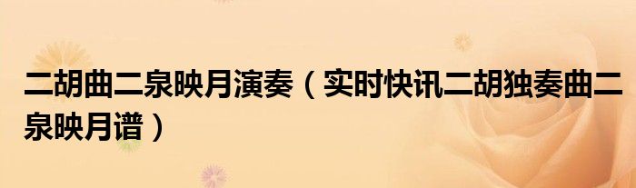 二胡独奏二泉映月完整版 二胡《二泉映月》