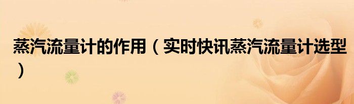 蒸汽流量计里面构造 蒸汽流量计关键参数