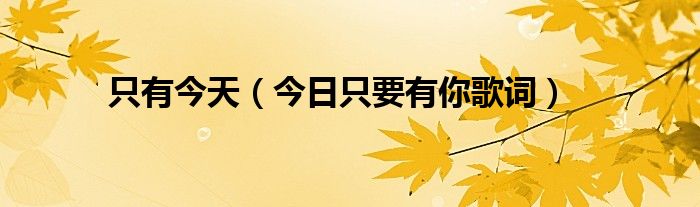 只要有你原歌词 只要有你的歌词