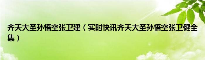齐天大圣孙悟空张卫健版视频 西游记齐天大圣孙悟空张卫健