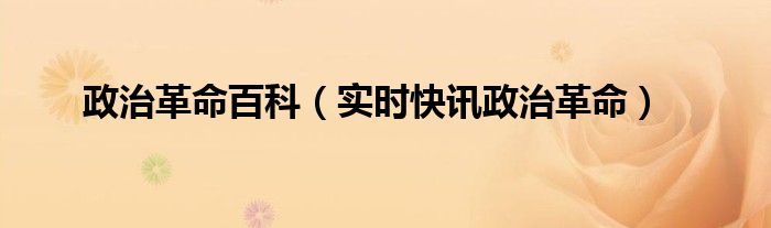 社会革命和政治革命 政治要闻视频