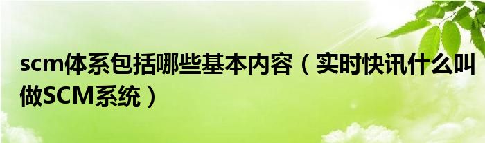 scm的概念 scm产品