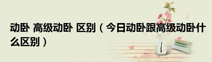 动卧和高级动卧的区别图片大全 动卧高级动卧软卧怎么区别