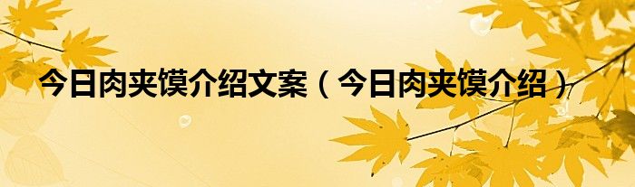 肉夹馍广告文案简短 肉夹馍广告文案