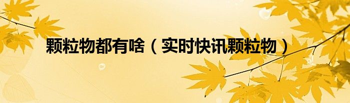 颗粒物的概念 颗粒物是什么