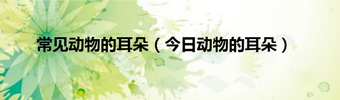 各种动物的耳朵特征 各种动物的耳朵及作用