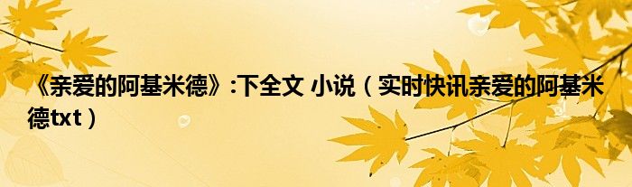亲爱的阿基米德电视剧在线观看 亲爱的阿基米德免费下载阅读全文