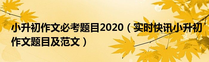历年小升初作文题目及范文 2020小升初必考作文范文及解析