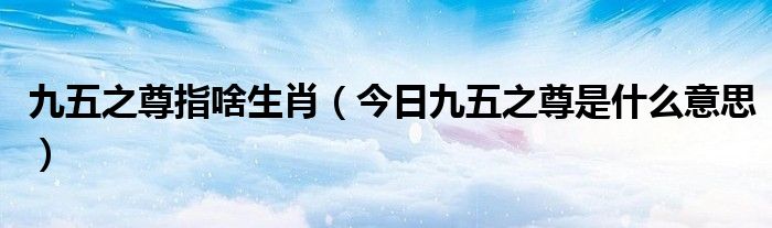 九五之尊的官网打开即玩.官网备用8.中国 九五之尊的解释寓意什么生肖