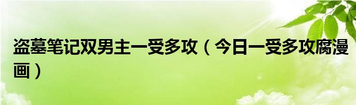 盗墓笔记双男主一口气看完 盗墓笔记秦岭神树漫画免费看