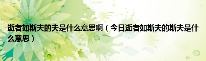 逝者如斯夫的夫是什么意思啊（今日逝者如斯夫的斯夫是什么意思）