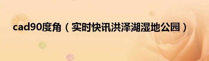 cad90度角标记 cad90度角图片