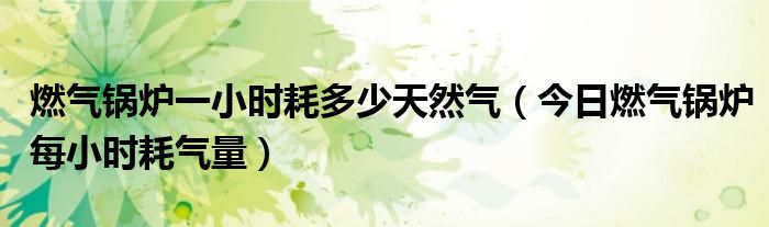 燃气锅炉每小时5吨左右 燃气锅炉一吨耗气量多少