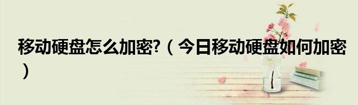 加密的硬盘怎么取消加密 用什么方法给移动硬盘加密好