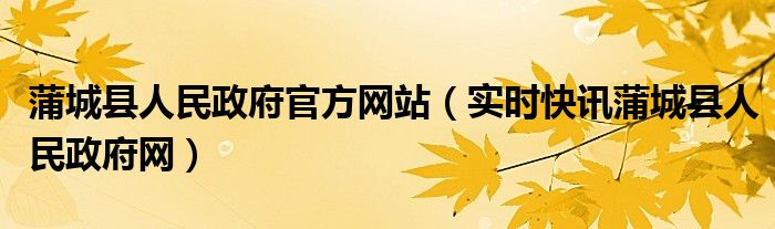 蒲城县政府信息公开平台 蒲城县人民政府电话号码