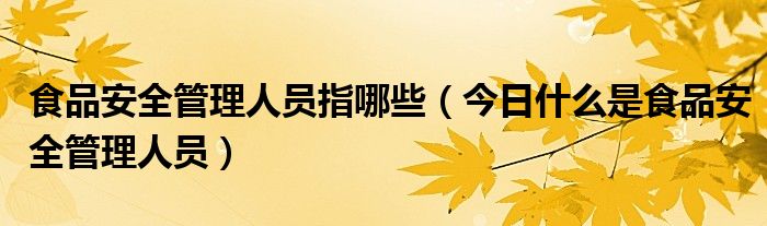 食品安全管理师 食品安全管理人员有什么职务