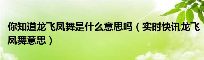 龙飞凤舞是什么项目 龙飞凤舞是什么意思视频