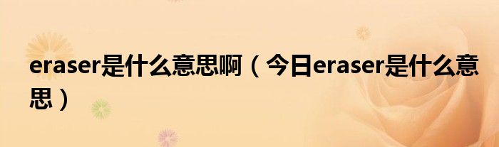 eraser什么意思英语翻译 eraser 什么意思