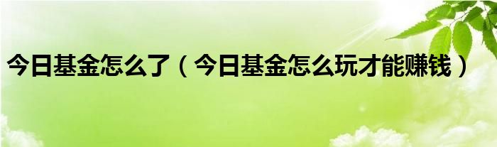 基金今日操作手册 今日基金操作思路及分析