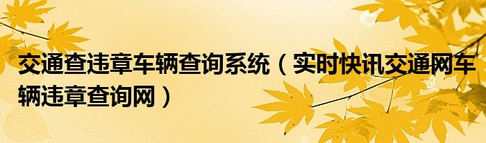 用交管12123查询车辆违章怎样查询 汽车违章查询网上查询12123