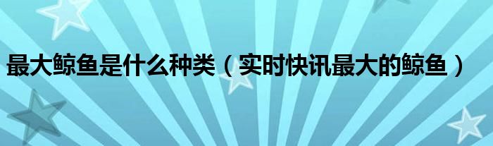 最大的鲸鱼是啥 最大的鲸鱼排名