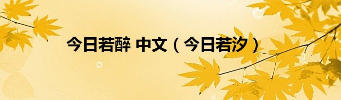 今日若醉封面 今日若醉歌词
