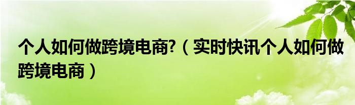 个人做跨境电商赚钱吗 个人跨境电商怎么做,跨境电商需要哪些条件