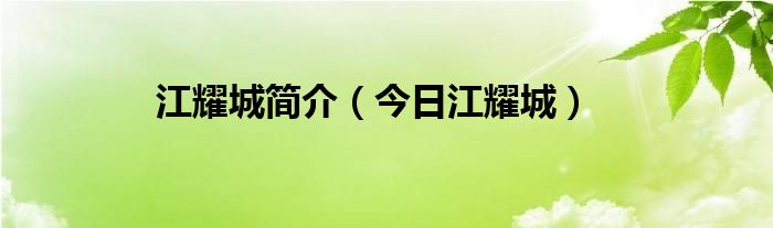 江耀是哪本小说 江耀成个人资料