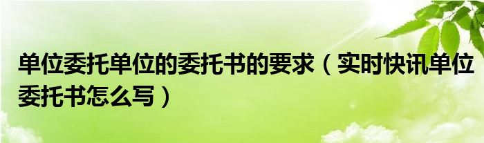 单位委托单位的委托书的要求 单位委托公司委托书怎么写