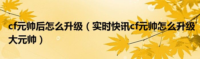 cf高阶大元帅升级怎么变元帅了 cf升级到元帅后怎么升级成大元帅