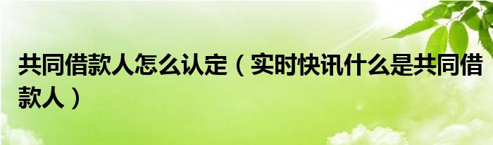 共同借款人的要求 共同借款人的认定