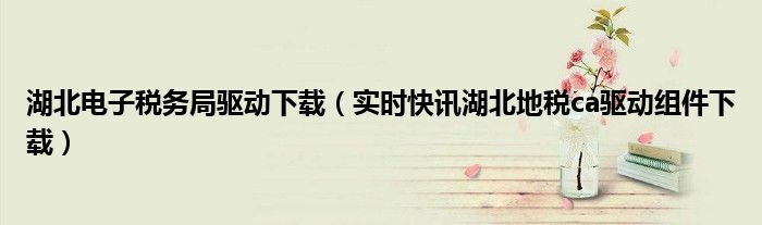 湖北税务下载安装 湖北电子税务局无法下载驱动