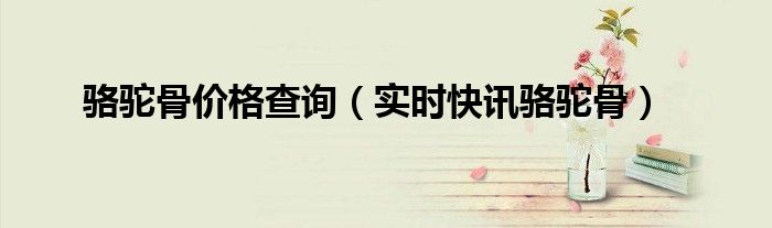 驼骨牌子价格 驼骨价格表