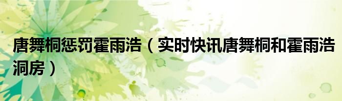 霍雨浩对唐舞桐的感情 霍雨浩对唐舞桐的惩罚有哪些