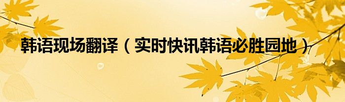 韩语实时语音翻译 韩语语音在线对话翻译