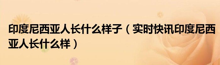 印度尼西亚人长相图片 印度尼西亚人特征