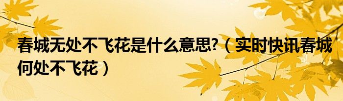 春城无处不飞花寒食东风御柳斜 春城无处不飞花指的是什么