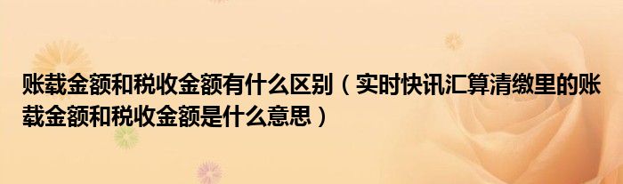 账载金额和实际发生额和税收金额 账载金额和实际发生额的区别
