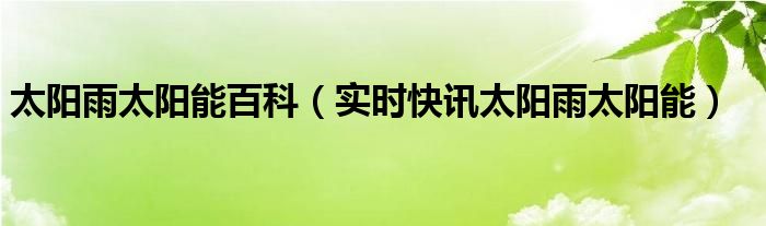 太阳雨太阳能热水器官网 太阳雨太阳能图解