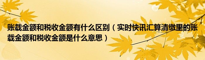 账载金额和税收金额能写一样吗 账载金额与税金金额有何区别