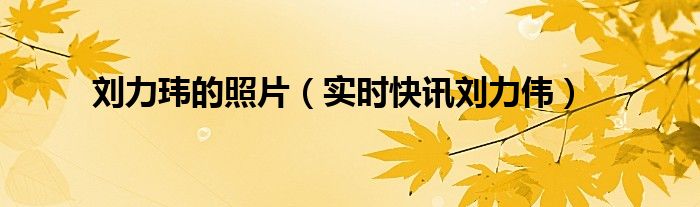 刘丽伟艺术 刘丽伟个人资料简介