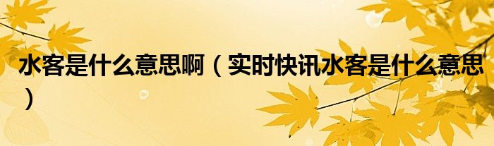 水客的定义和概念 水客的定义是什么意思