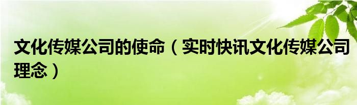 文化传媒愿景 文化传媒公司的愿景使命价值观