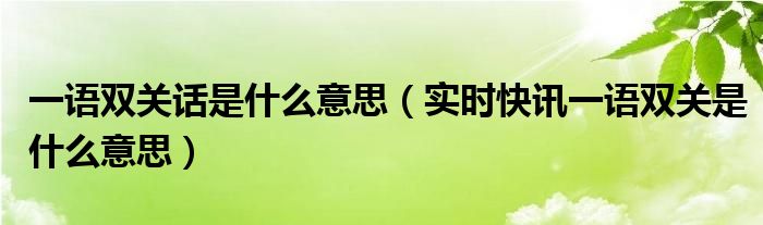 一语双关意思 一语双关两种意思