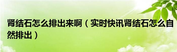 肾结石怎么快速排出来 肾结石怎么排出来的