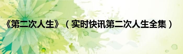第二次人生电视剧 第二次人生全集来袭