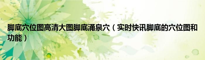 脚底穴位超清照片 脚底穴位图片涌泉穴