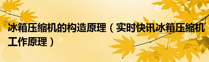 冰箱压缩机机构图 冰箱压缩机的结构和工作原理