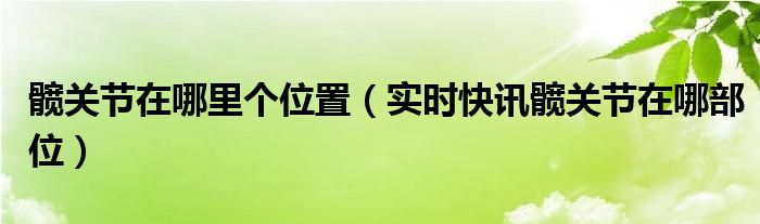 髋关节在哪个部位 位置图 髋关节在哪个位置示意图