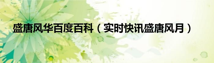 盛唐风华原版视频 盛唐风华免费阅读